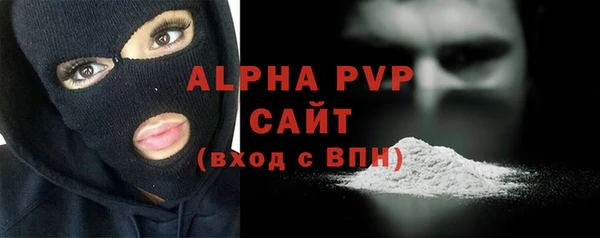 шишки Михайловск