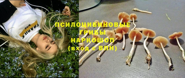 шишки Михайловск