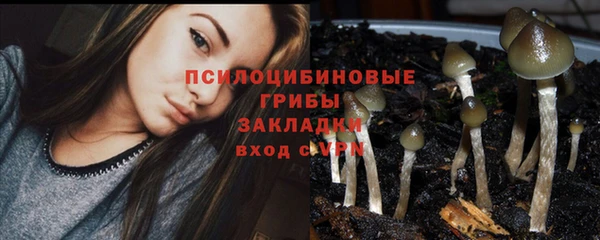 молекула духа Михайловка