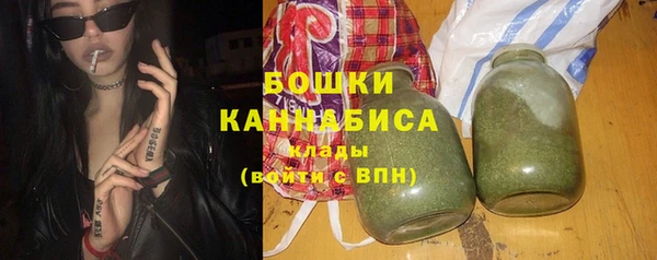 шишки Михайловск
