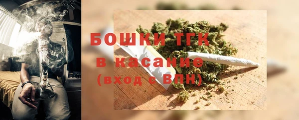 твердый Михайлов