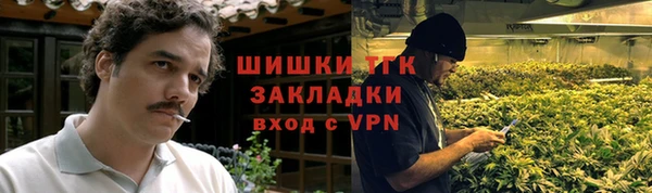 шишки Михайловск